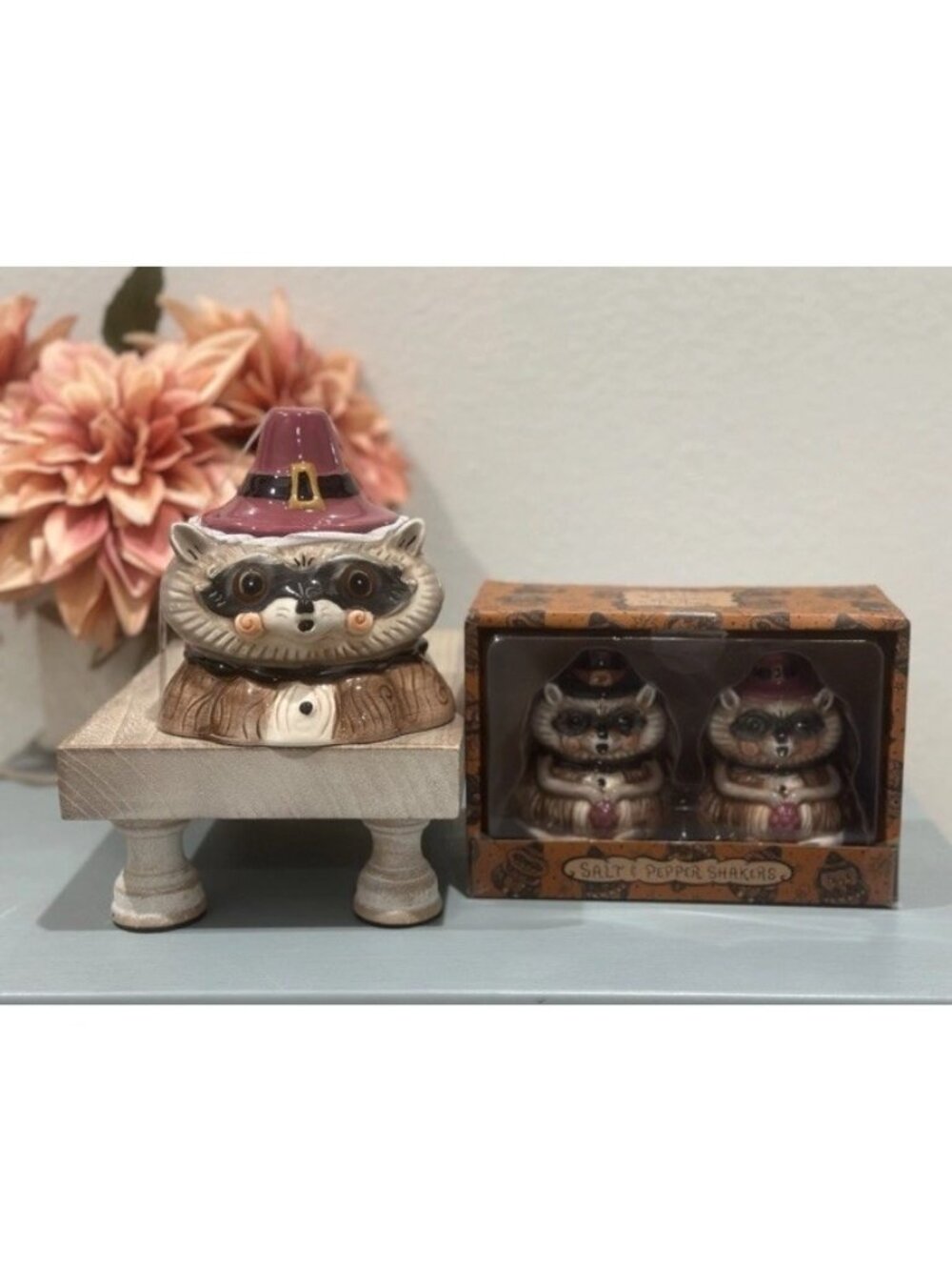 Johanna Parker Thanksgiving Pilgrim Sm Raccoon Jar Salt Pepper Shakers Set Table